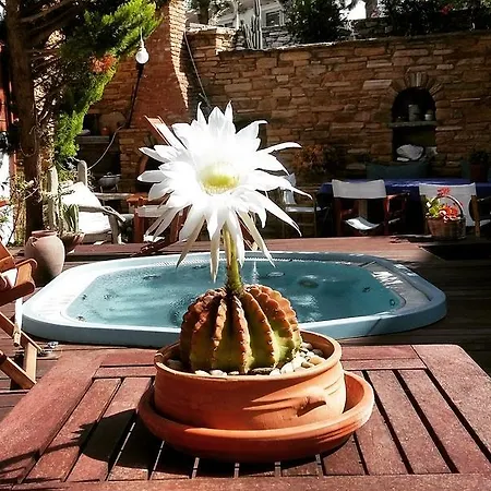 Hotel Vincenzo
